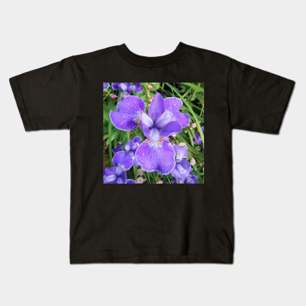 Purple Iris Kids T-Shirt by bettyretro